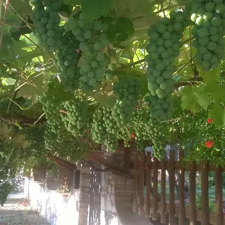 Oasi Delle Sfizierie Holiday home *